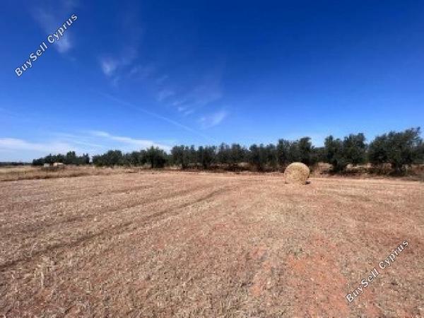 land for sale dasaki achnas famagusta 8628576 image 15862998