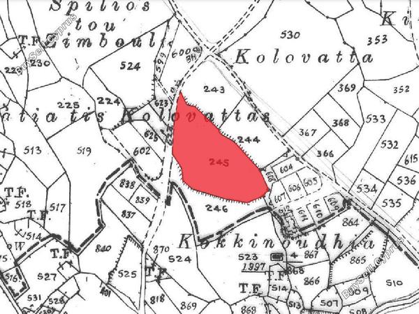 land for sale kato arodes paphos 944576 image 15599249
