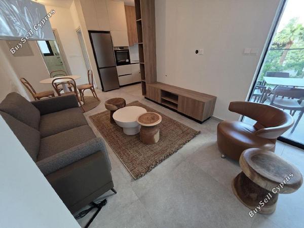 1 bedroom apartment for rent agioi omologitai nicosia 8684776 image 16455249