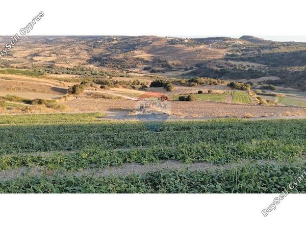 land for sale filousa chrysoxous paphos 7508776 image 14843954