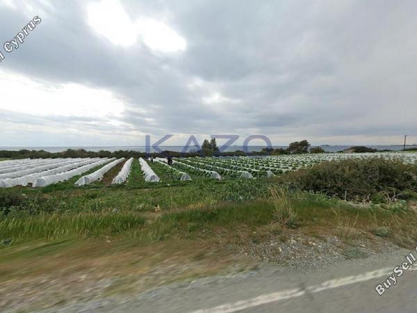 land for sale maroni larnaca 7643776 image 12329855