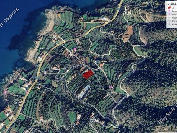 land for sale nea dimmata paphos 1355776 image 6543953