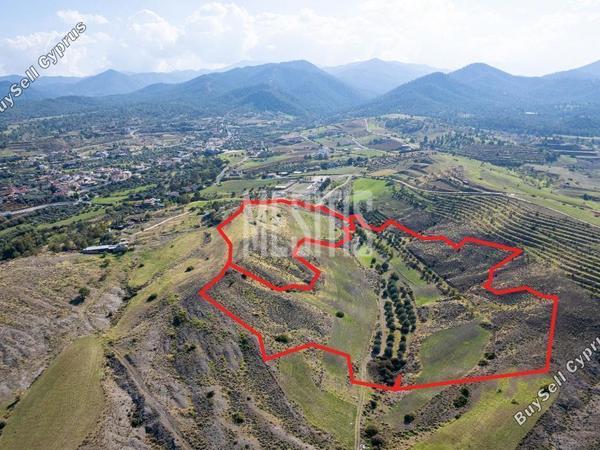land for sale nikitari nicosia 975776 image 10489253