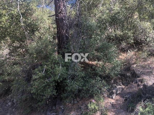 land for sale pera pedi limassol 1147776 image 5546337
