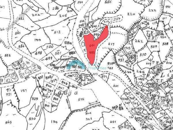 land for sale tsada paphos 1938776 image 16013766