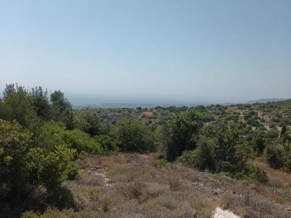 plot for sale tala paphos 1518776 image 5391864