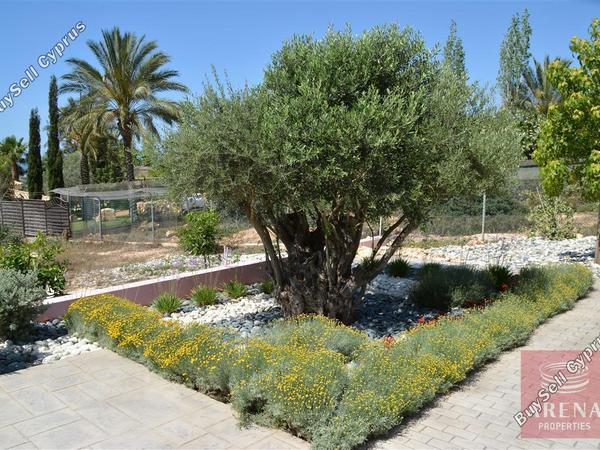 4 bedroom detached house for sale paralimni famagusta 1268876 image 13158366