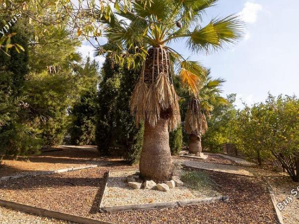 4 bedroom detached house for sale steni paphos 7544876 image 14887568