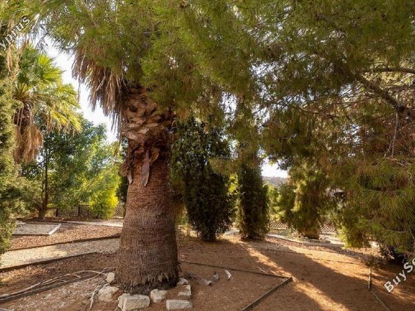 4 bedroom detached house for sale steni paphos 7544876 image 14887569