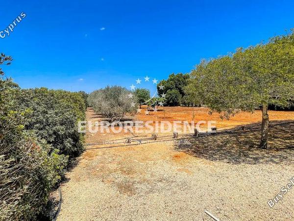 5 bedroom detached house for sale protaras famagusta 1416876 image 2711677