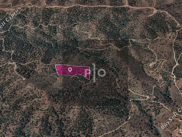 land for sale agios theodoros soleas nicosia 8274876 image 15155966