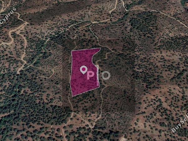 land for sale agios theodoros soleas nicosia 8274876 image 15155968