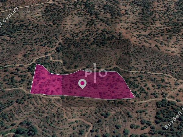 land for sale agios theodoros soleas nicosia 8274876 image 15155969