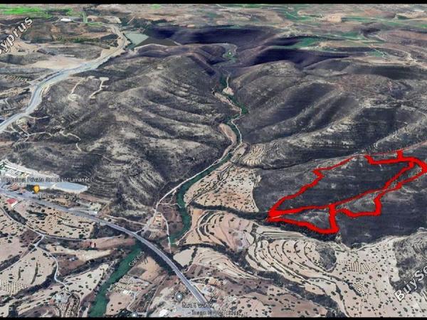 land for sale palodeia limassol 8382876 image 14717715