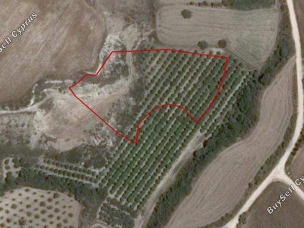 land for sale poli chrysochous paphos 1355876 image 16419545