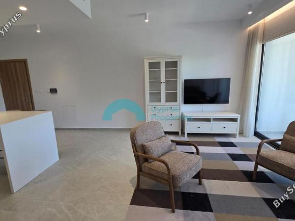 2 bedroom apartment for rent paphos municipality paphos 8862976 image 17156639