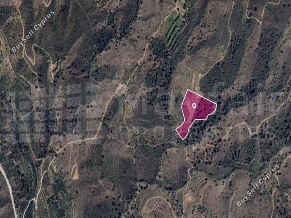 land for sale agios georgios kafkallou nicosia 7871976 image 11383741