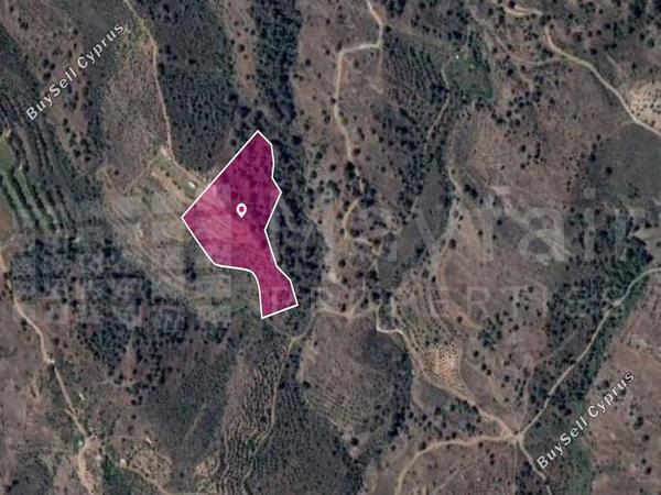 land for sale agios georgios kafkallou nicosia 7871976 image 11383742