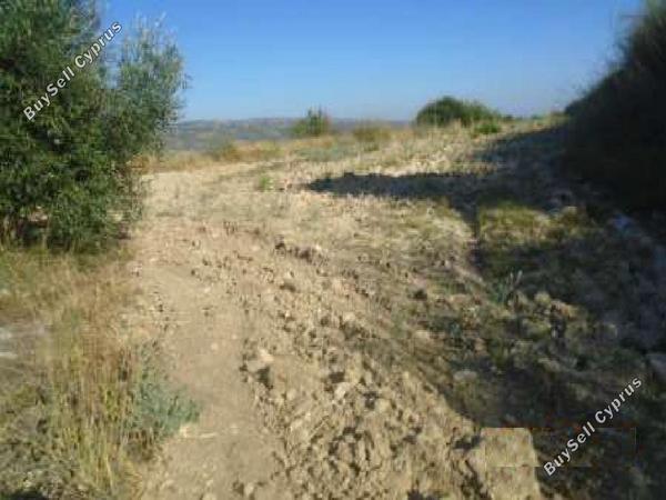 land for sale giolou paphos 8664976 image 17011075