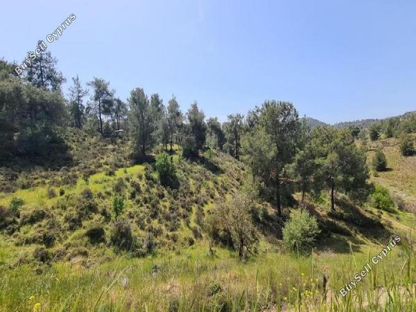 land for sale kapedes nicosia 1023976 image 7342407