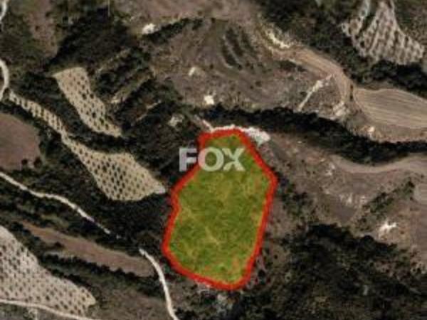 land for sale simou paphos 1459976 image 10036532