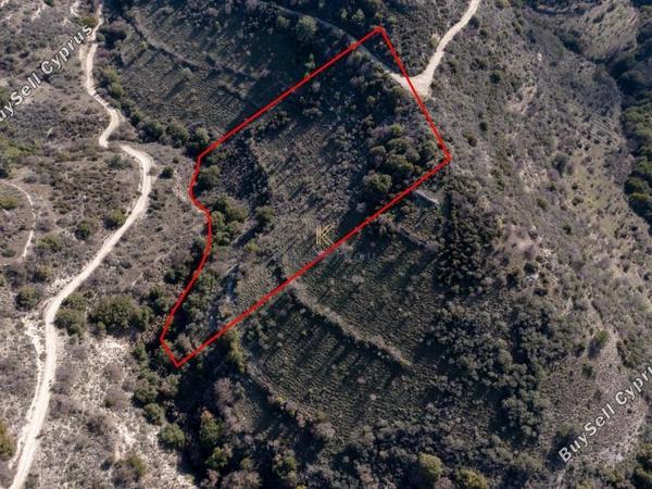 plot for sale dora limassol 1650976 image 5680508