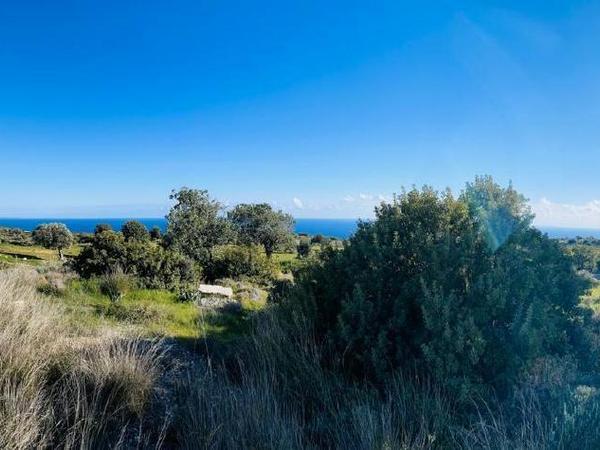 plot for sale pissouri limassol 7500976 image 9347523