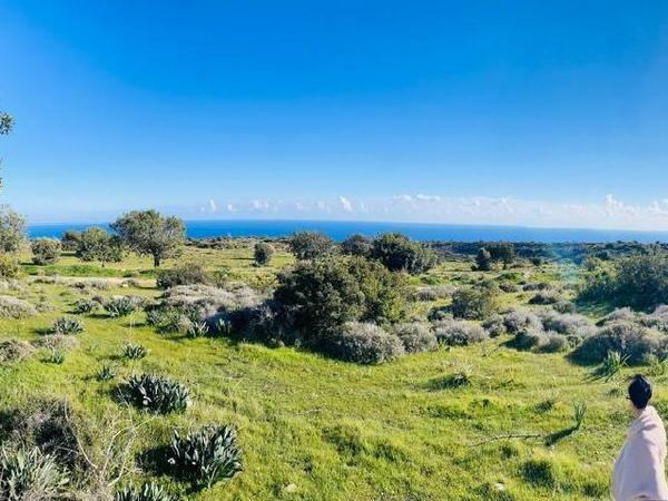 plot for sale pissouri limassol 7500976 image 9347525