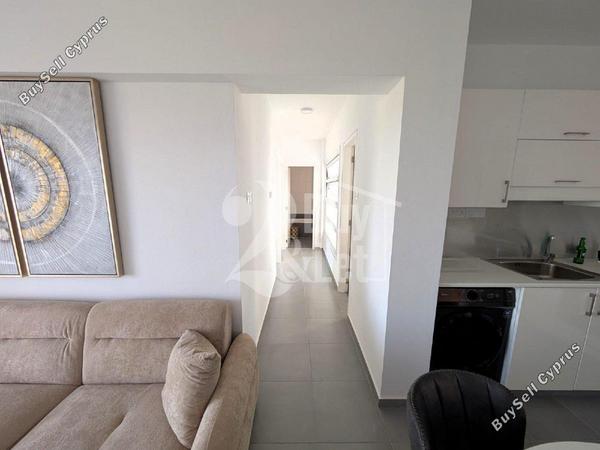 2 bedroom apartment for sale peyia paphos 7811086 image 12591360