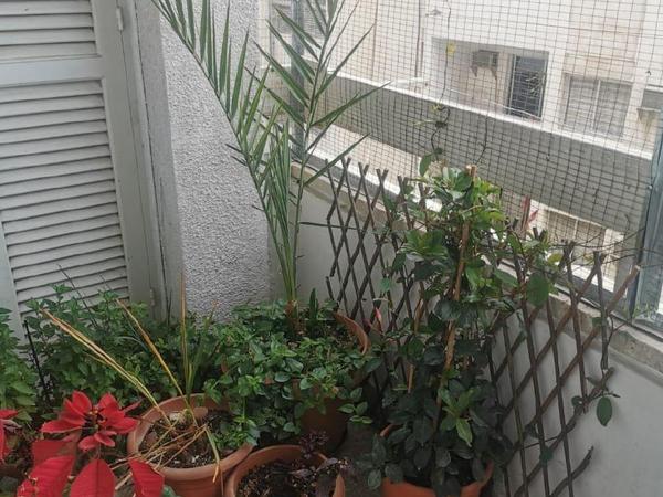 3 bedroom apartment for sale larnaca municipality larnaca 8681086 image 16595675
