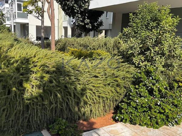 3 bedroom apartment for sale parekklisia limassol 7784086 image 11362700