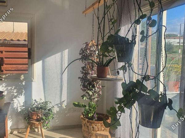 3 bedroom detached house for sale dali nicosia 1072086 image 16243518