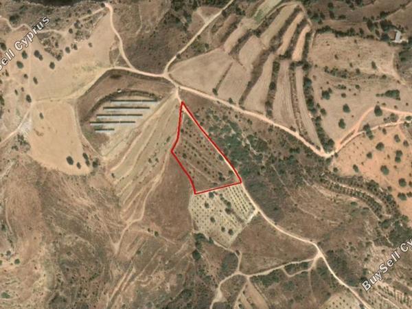 land for sale kissonerga paphos 828086 image 15177606