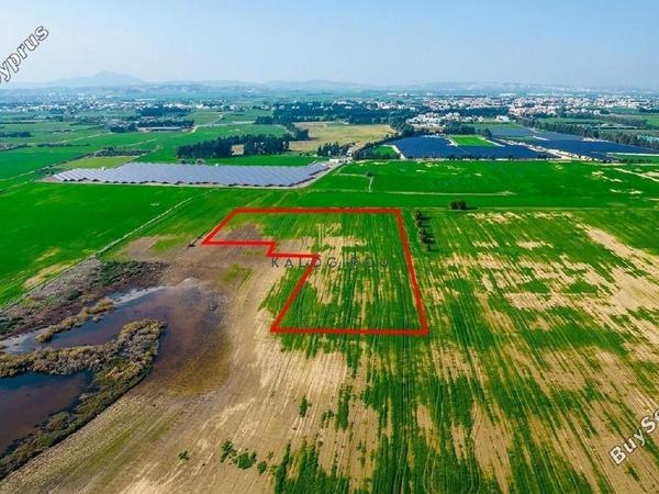 land for sale meneou larnaca 1196086 image 5589210