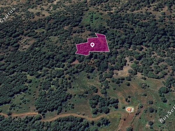 land for sale pomos paphos 8396086 image 14901447