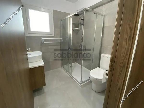 1 bedroom apartment for rent strovolos nicosia 8749186 image 16473398