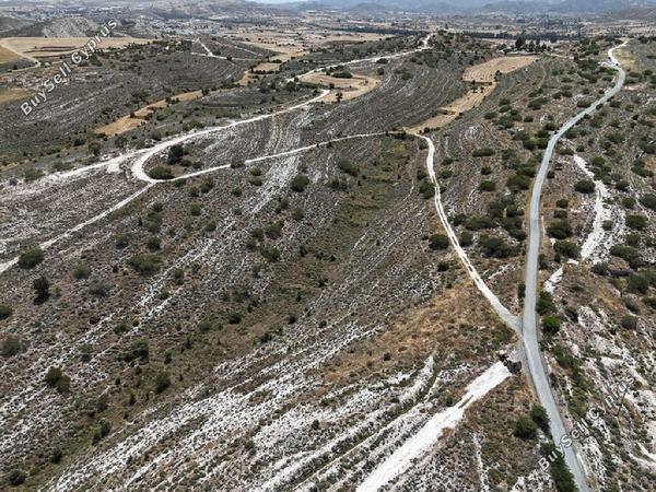 land for sale dali nicosia 8716186 image 16294883