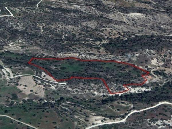land for sale mathikoloni limassol 1685186 image 10016442