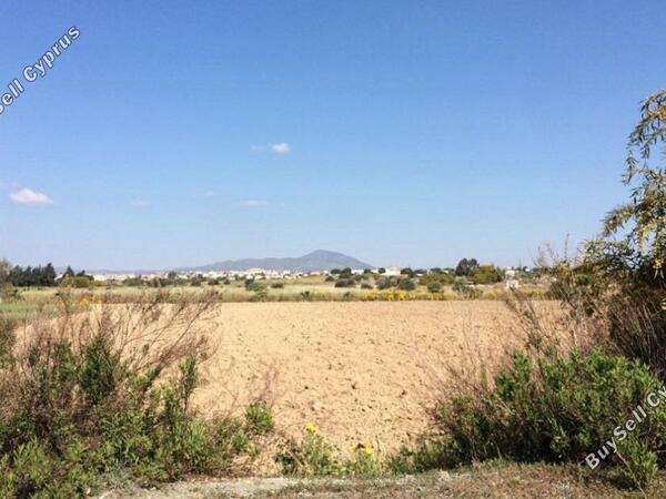 land for sale mazotos larnaca 831186 image 1056738