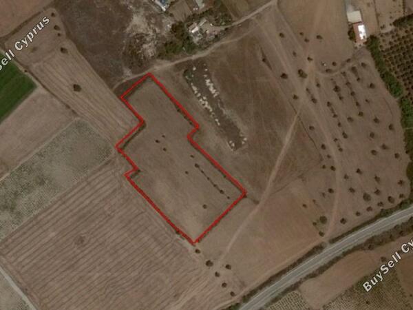 land for sale mazotos larnaca 831186 image 1056739