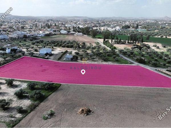 land for sale athienou larnaca 1305286 image 7235400