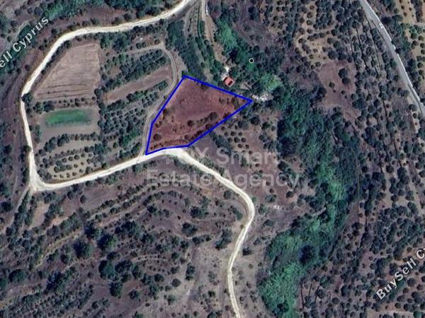 land for sale xyliatos nicosia 1587286 image 5207883
