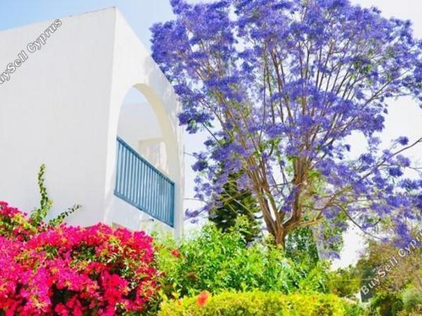 2 bedroom apartment for sale paphos municipality paphos 8203386 image 13702008