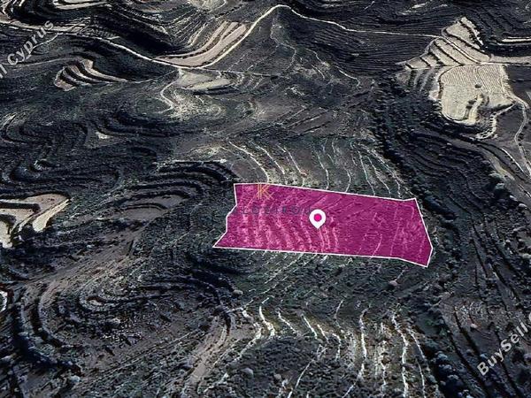 land for sale pachna limassol 1650386 image 5669213