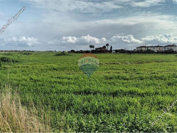 land for sale pervolia larnaca 7931386 image 14129036