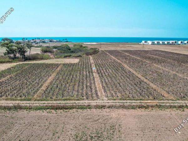 land for sale softades larnaca 1094386 image 5617519
