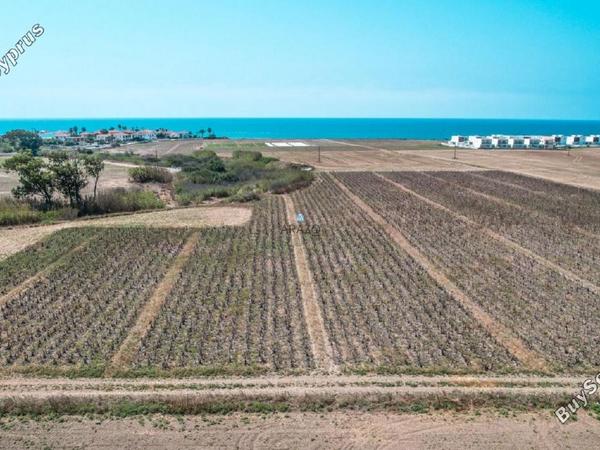 land for sale softades larnaca 1094386 image 5617529