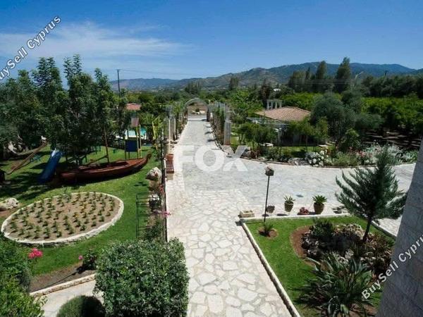 3 bedroom detached house for rent argaka paphos 8524486 image 16315284