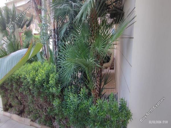 5 bedroom detached house for sale dekeleia larnaca 8554486 image 15554297