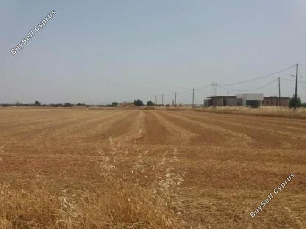 land for sale xylotymvou larnaca 1835486 image 15596877